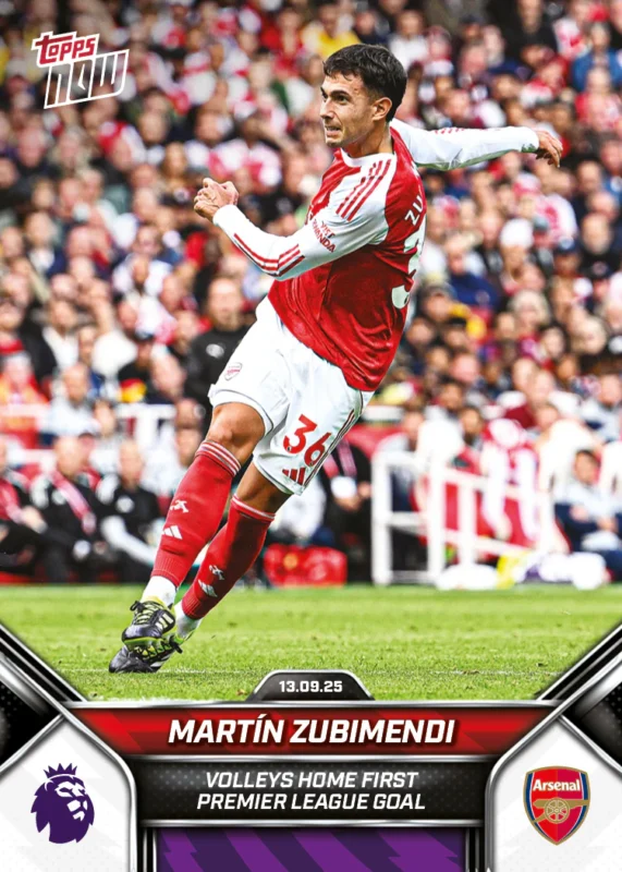 zubimendi